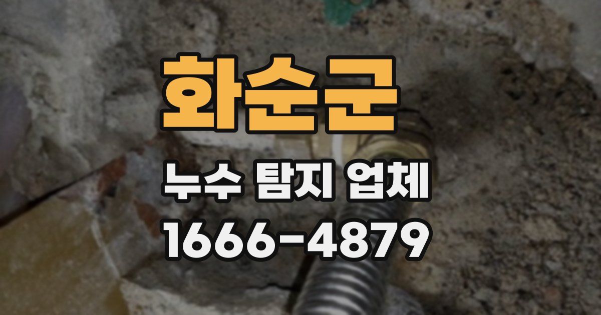 화순군 누수 탐지 업체