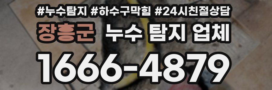 장흥군 누수 탐지 업체