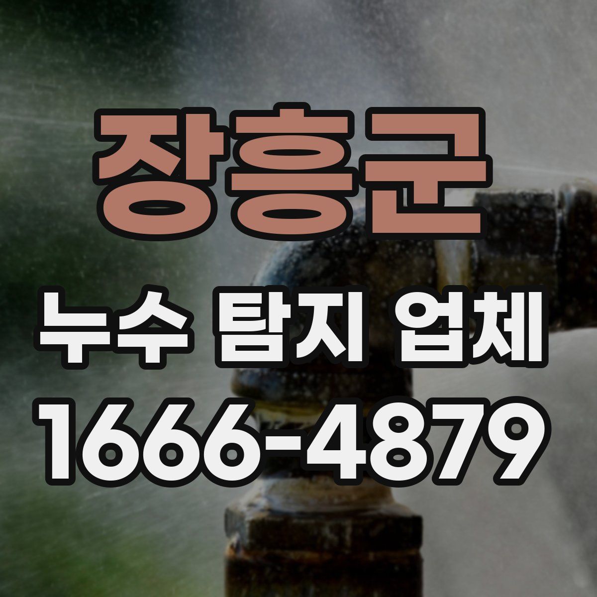 장흥군 누수 탐지 업체