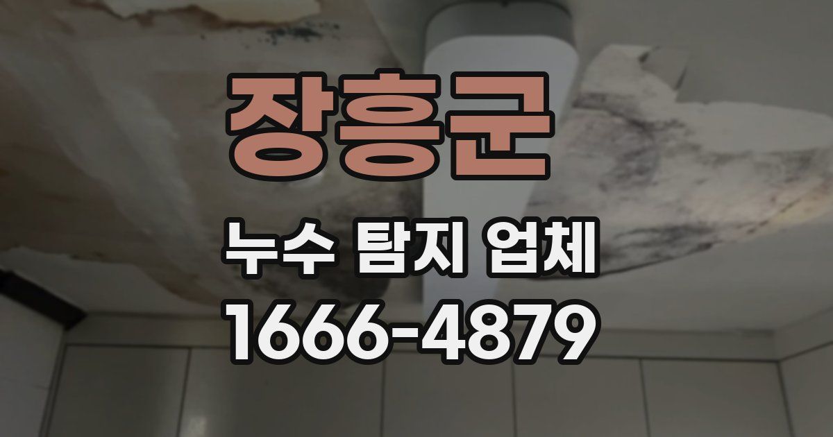 장흥군 누수 탐지 업체