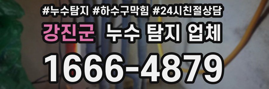 강진군 누수 탐지 업체