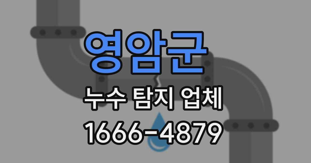 영암군 누수 탐지 업체