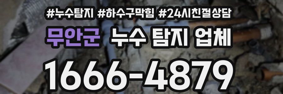 무안군 누수 탐지 업체