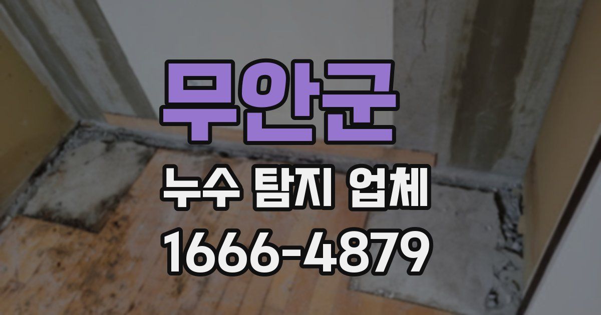 무안군 누수 탐지 업체