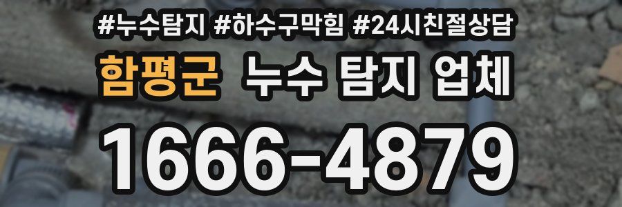 함평군 누수 탐지 업체