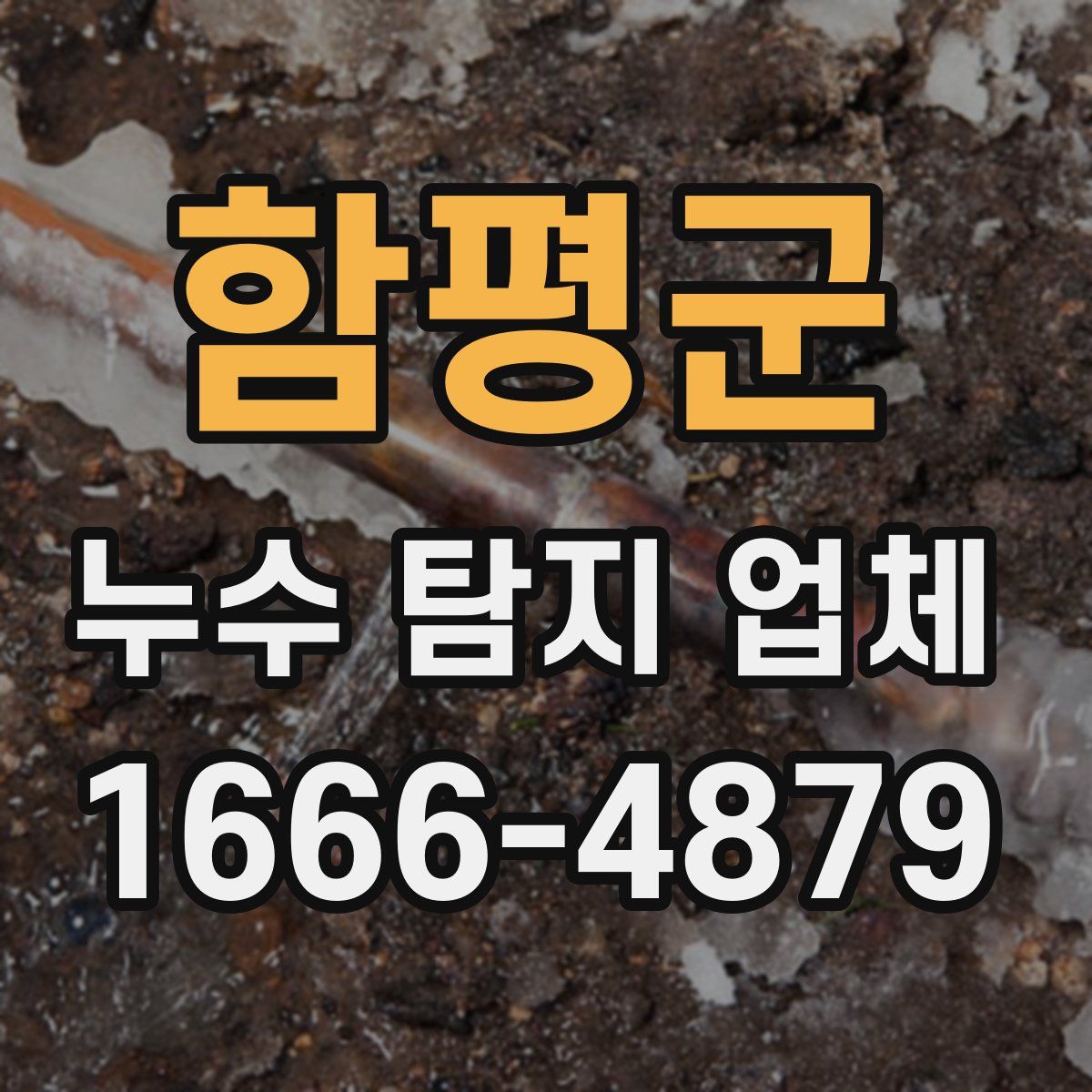함평군 누수 탐지 업체
