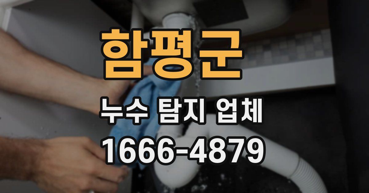 함평군 누수 탐지 업체