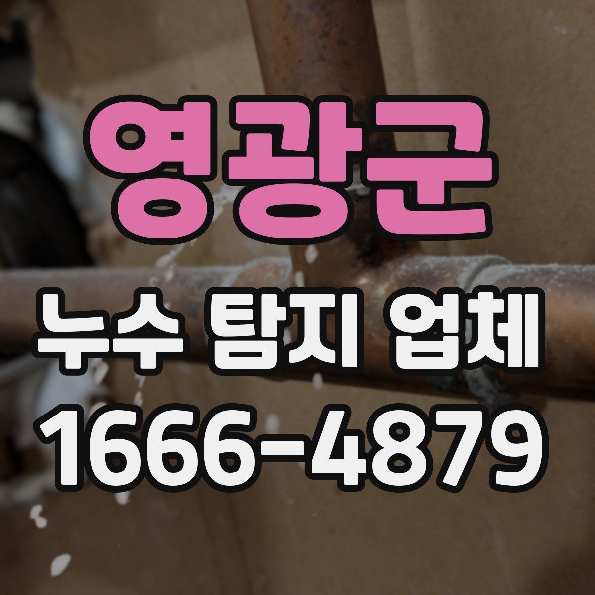 영광군 누수 탐지 업체