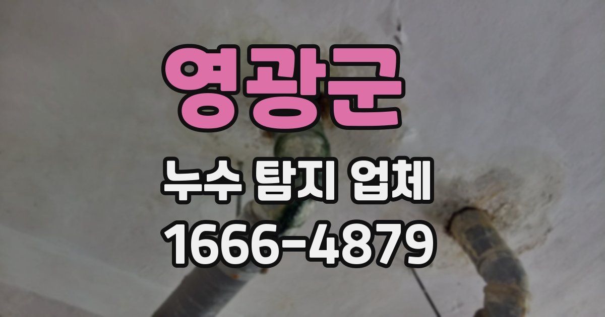 영광군 누수 탐지 업체