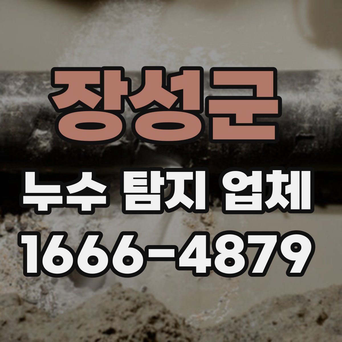 장성군 누수 탐지 업체