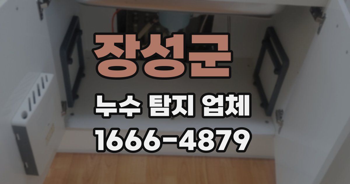 장성군 누수 탐지 업체
