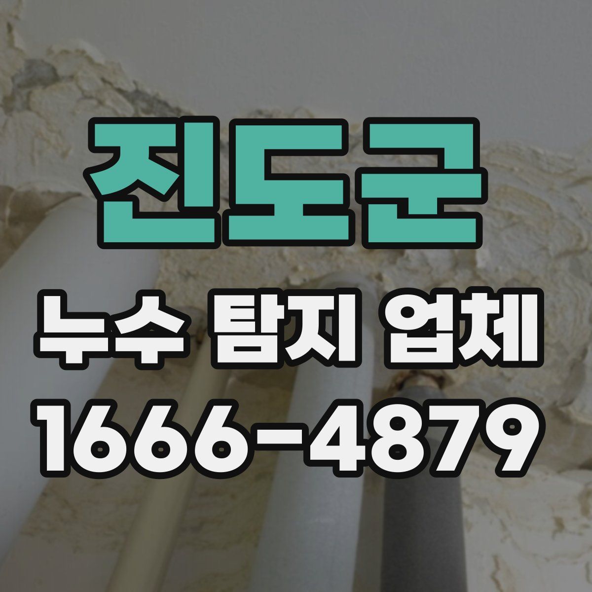 진도군 누수 탐지 업체