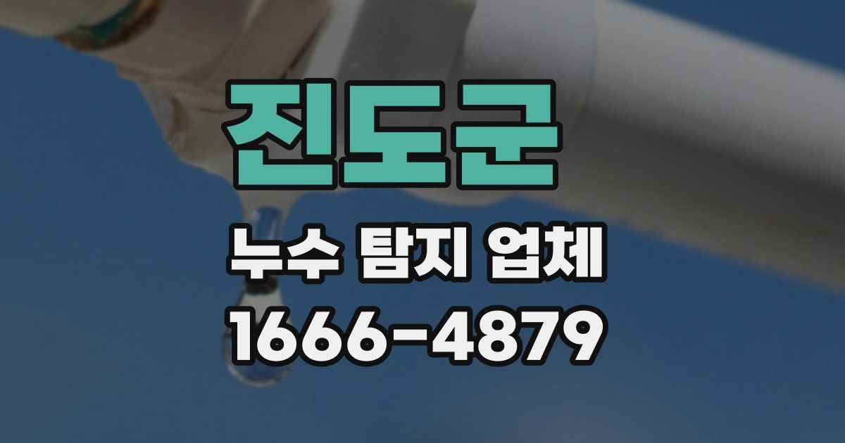 진도군 누수 탐지 업체