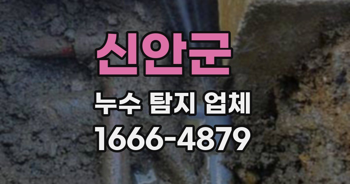 신안군 누수 탐지 업체