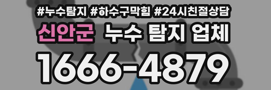 신안군 누수 탐지 업체