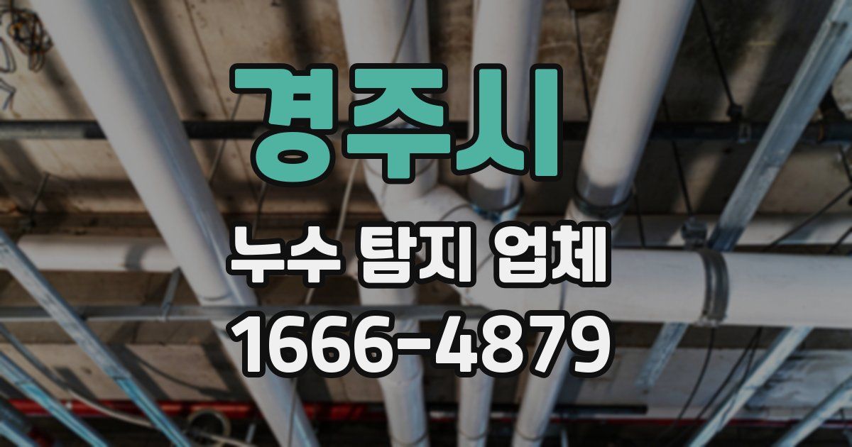 경주시 누수 탐지 업체