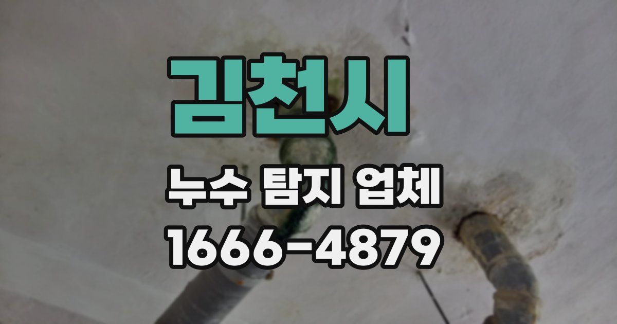 김천시 누수 탐지 업체