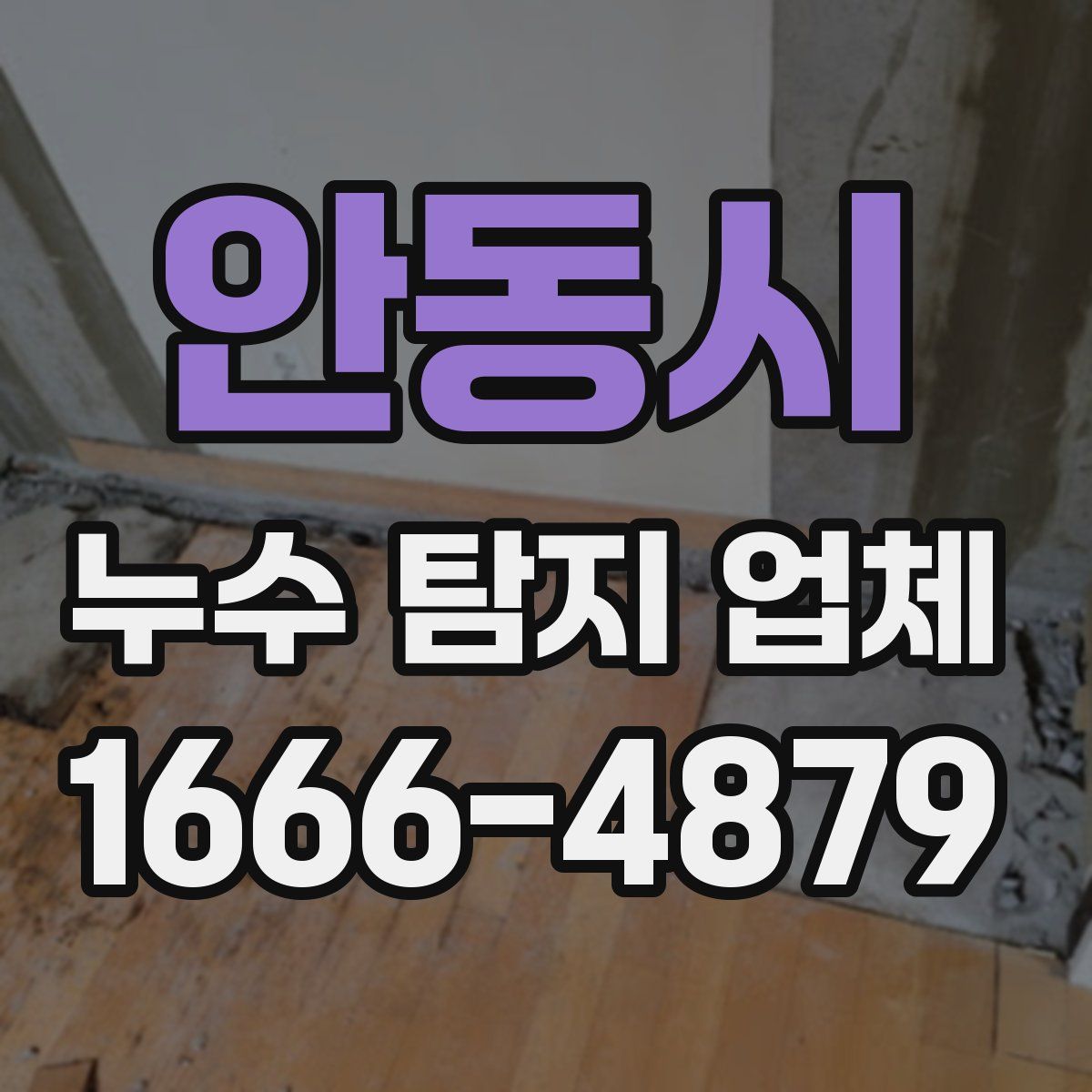 안동시 누수 탐지 업체