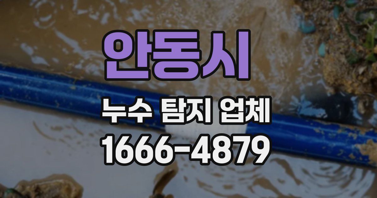 안동시 누수 탐지 업체