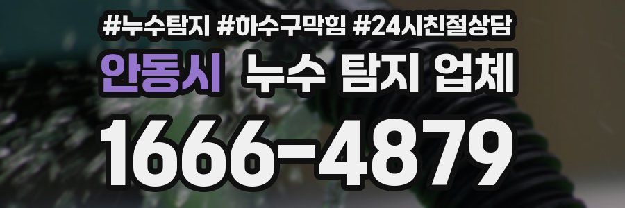 안동시 누수 탐지 업체