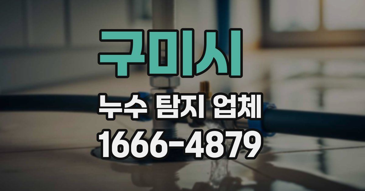 구미시 누수 탐지 업체