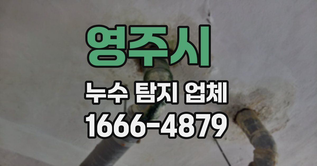 영주시 누수 탐지 업체