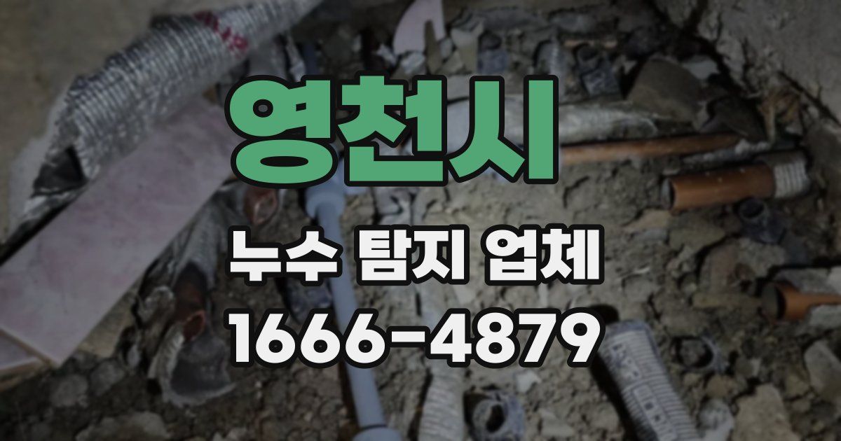 영천시 누수 탐지 업체