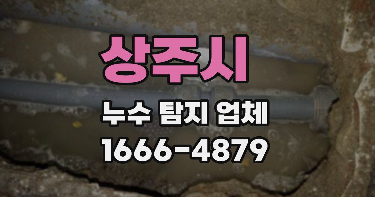 상주시 누수 탐지 업체