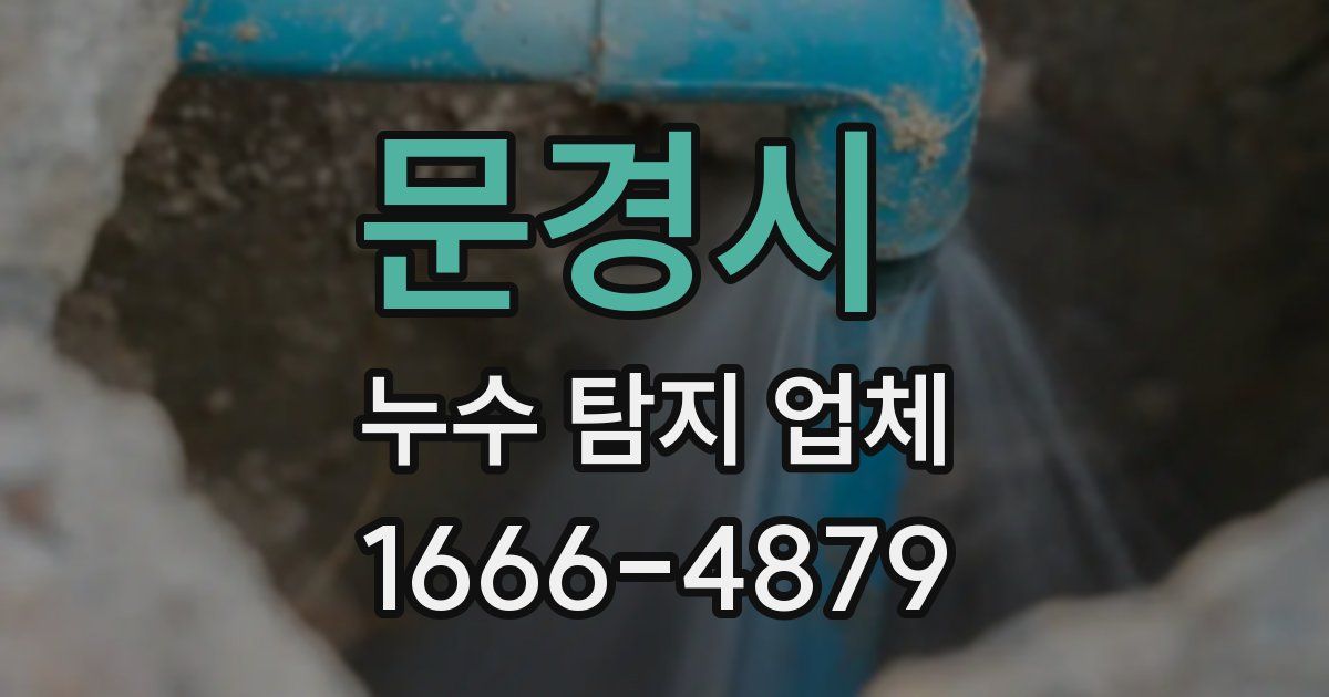 문경시 누수 탐지 업체