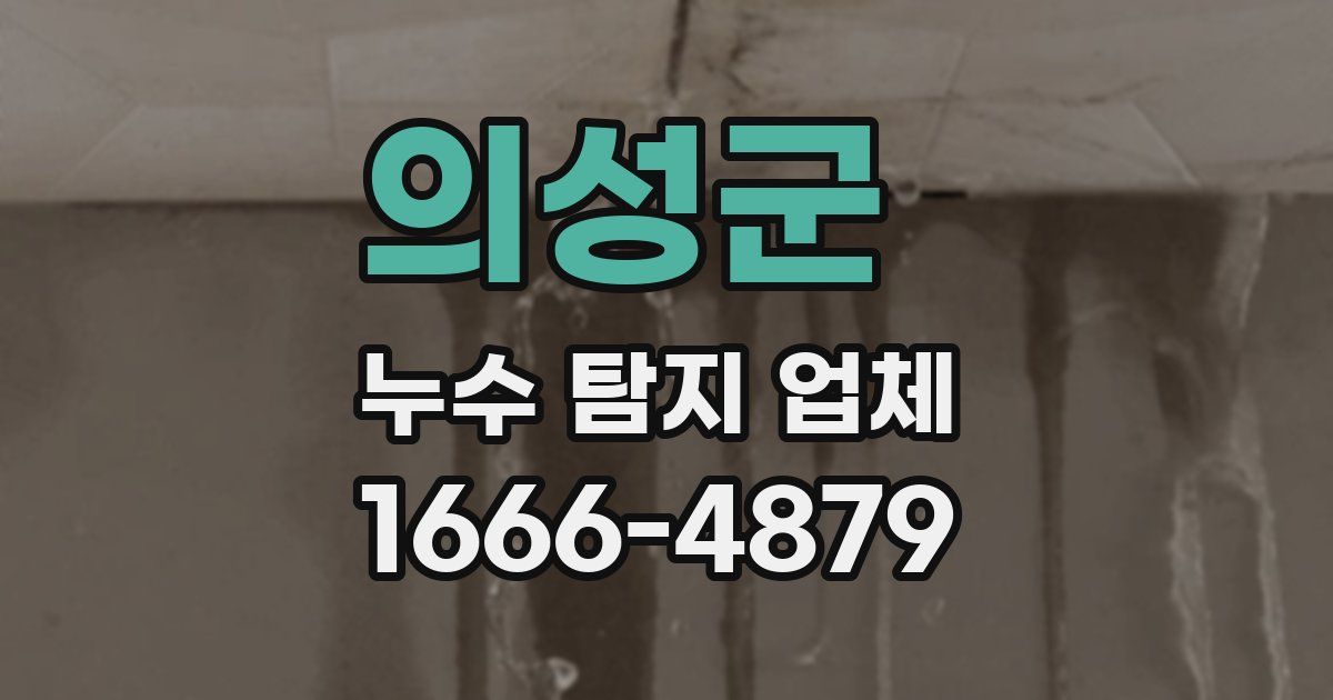 의성군 누수 탐지 업체
