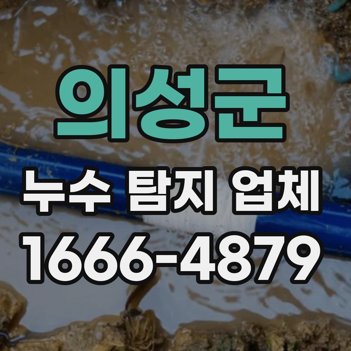 의성군 누수 탐지 업체