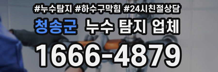 청송군 누수 탐지 업체