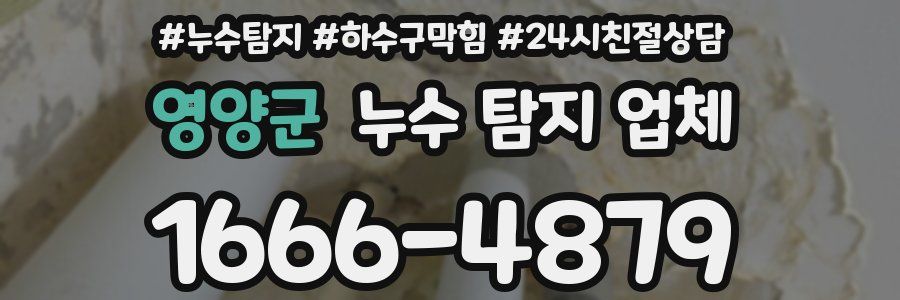 영양군 누수 탐지 업체