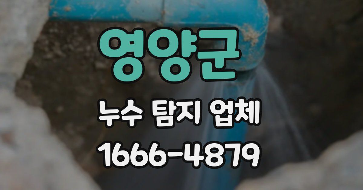 영양군 누수 탐지 업체