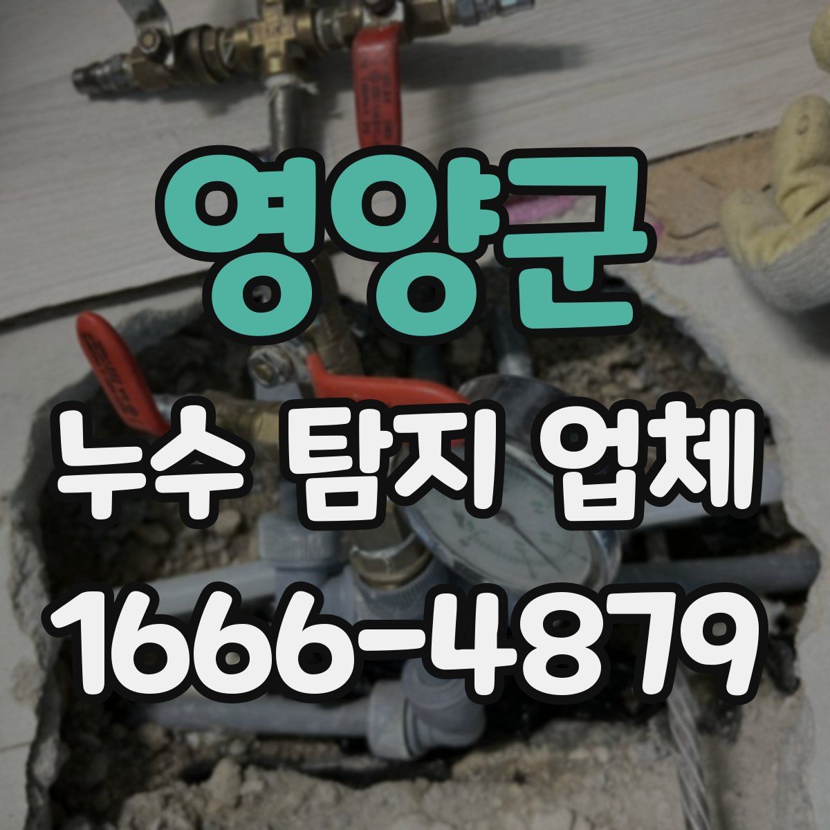 영양군 누수 탐지 업체