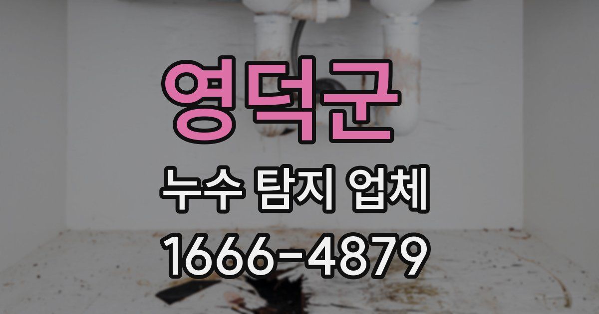 영덕군 누수 탐지 업체