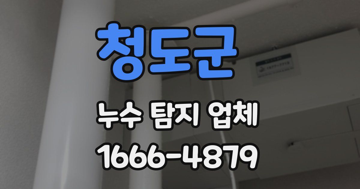 청도군 누수 탐지 업체