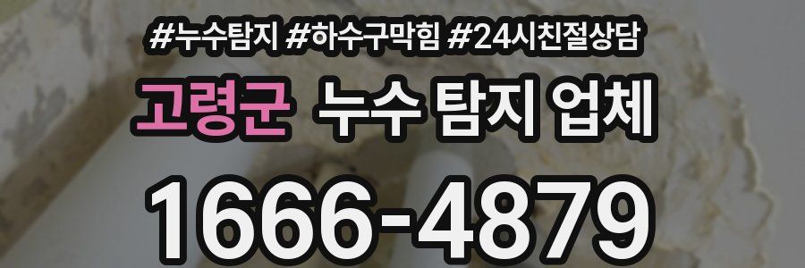 고령군 누수 탐지 업체