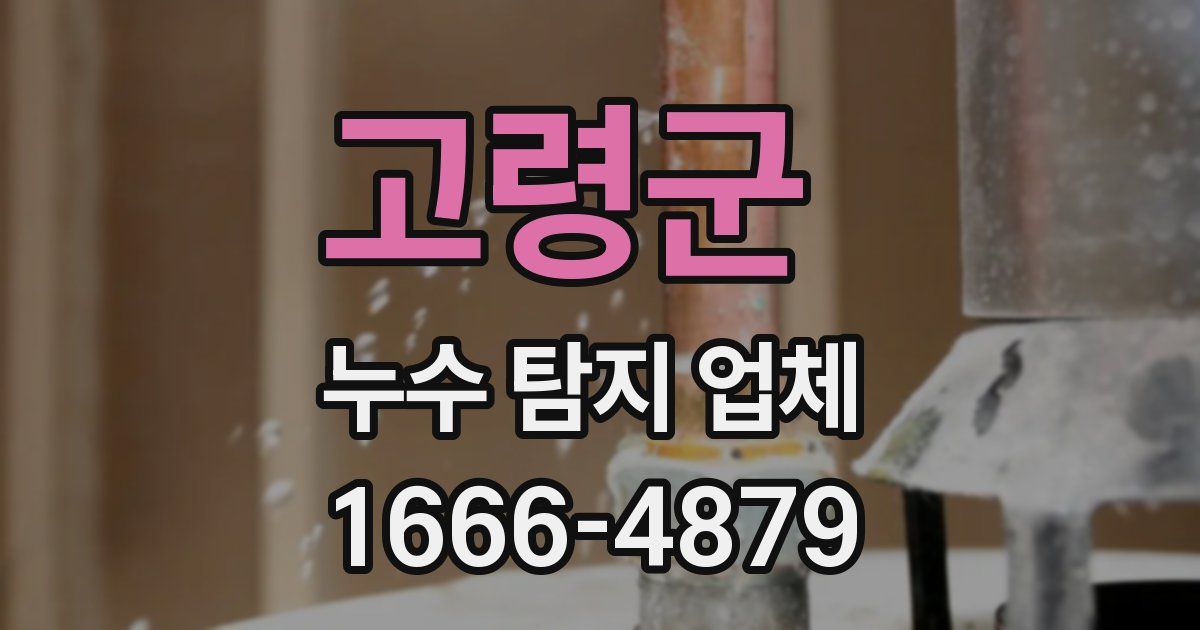 고령군 누수 탐지 업체