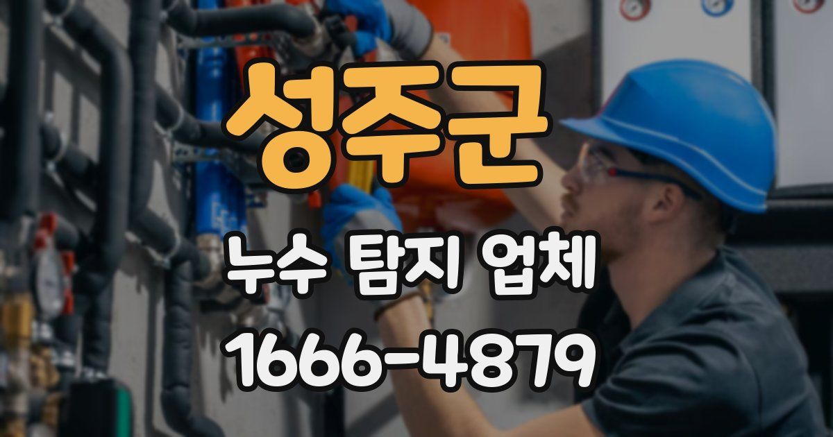 성주군 누수 탐지 업체