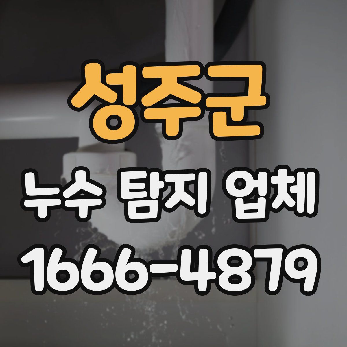 성주군 누수 탐지 업체