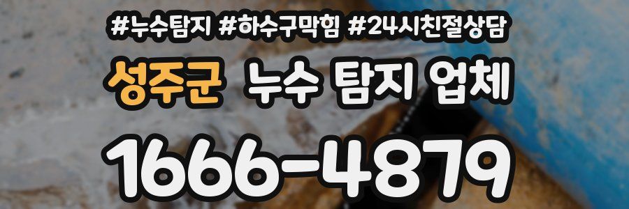 성주군 누수 탐지 업체