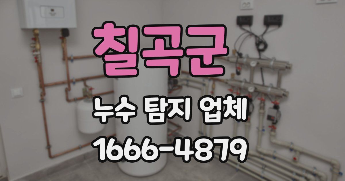 칠곡군 누수 탐지 업체