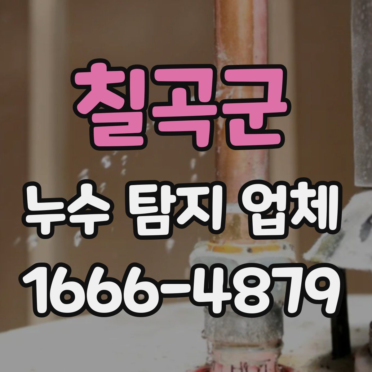 칠곡군 누수 탐지 업체