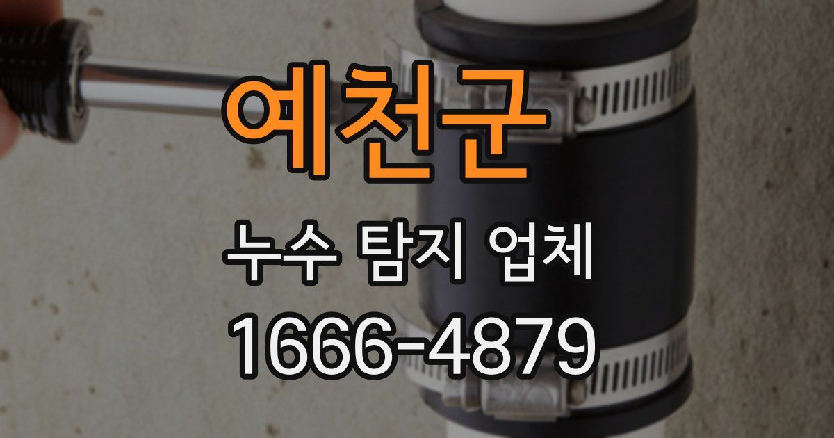 예천군 누수 탐지 업체