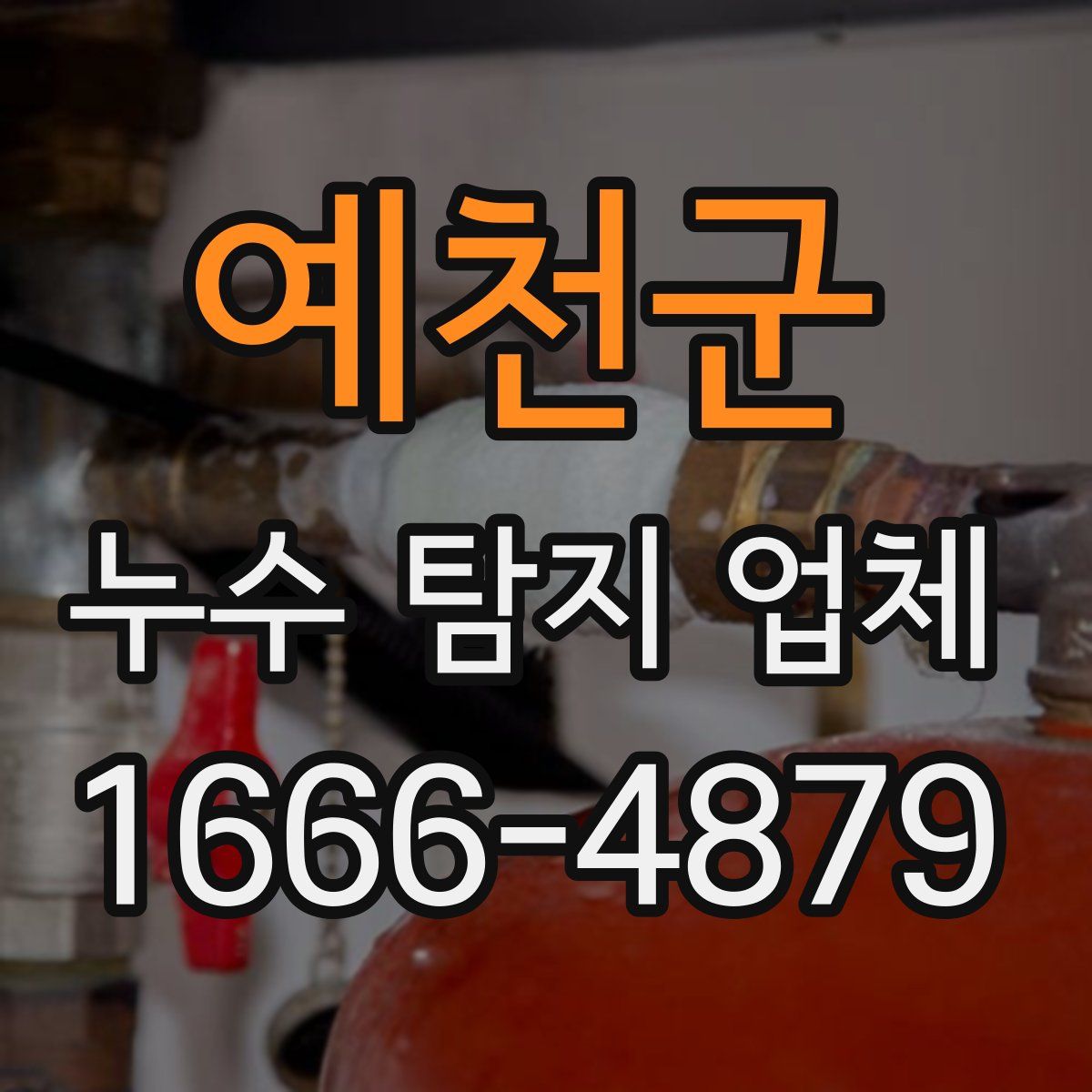 예천군 누수 탐지 업체