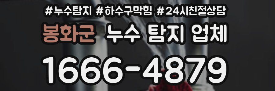봉화군 누수 탐지 업체