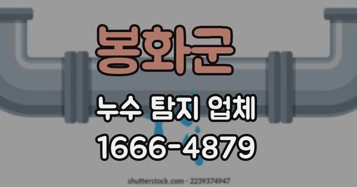 봉화군 누수 탐지 업체