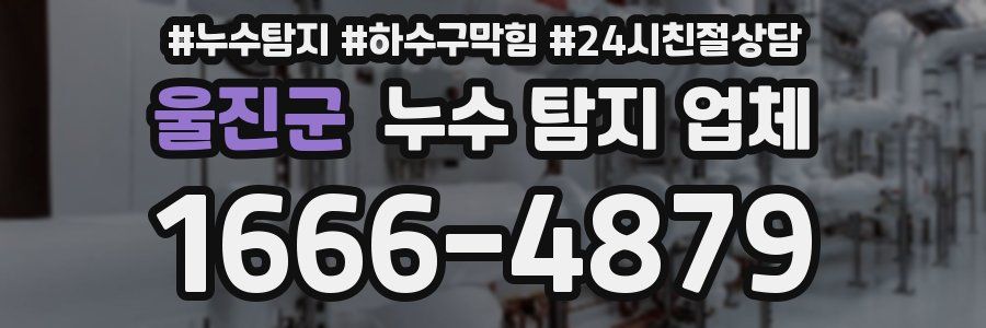울진군 누수 탐지 업체
