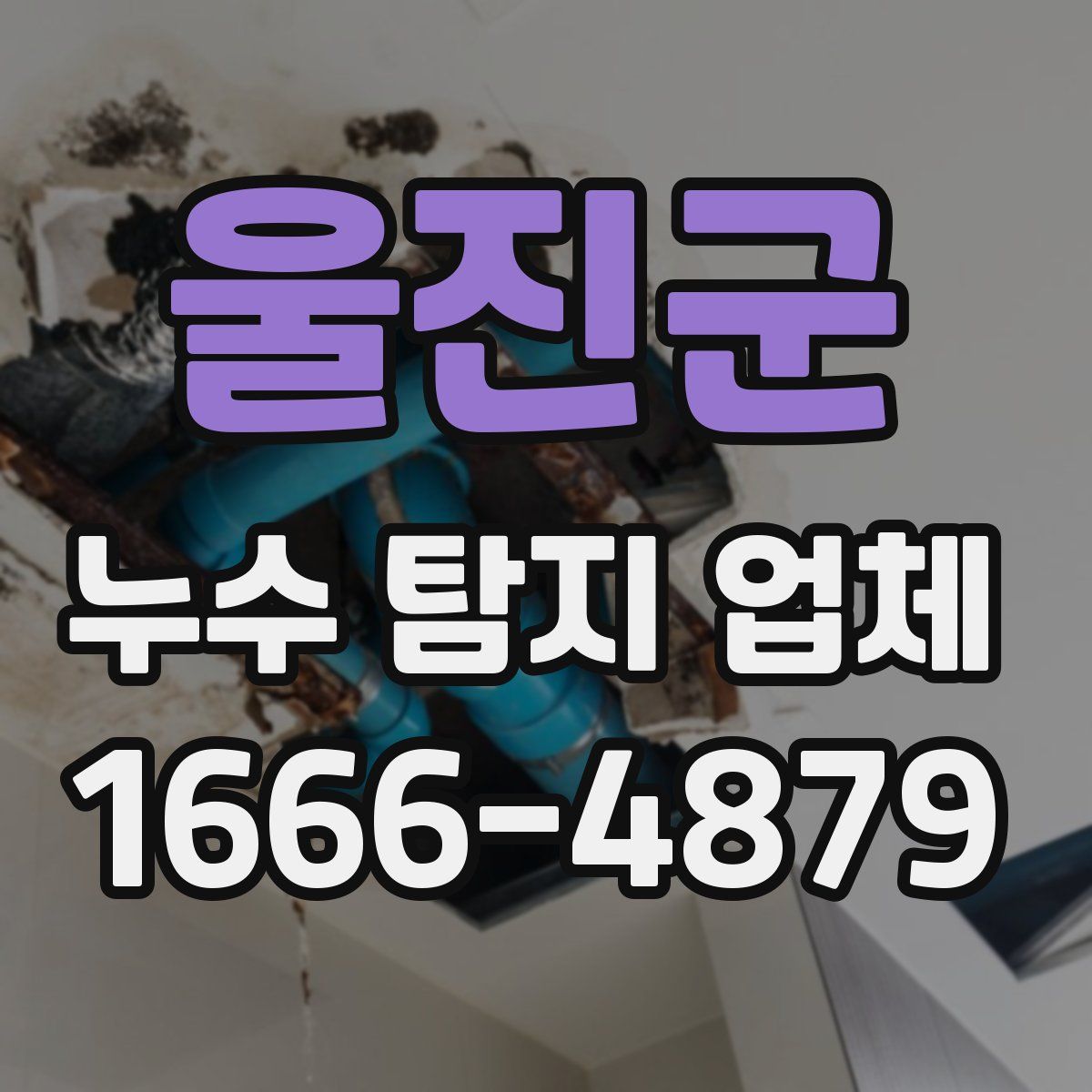 울진군 누수 탐지 업체